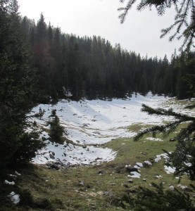 M._di_Campiglio_la_zona_interessata_alla_costruzione_del_Lago_dei_Montagnoli